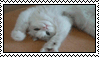 paw_paw_stamp_by_fluffehbutt-d3lj8kd.gif