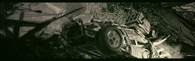 madness_by_eliten00bz-d4adt78.png