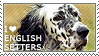 i_love_english_setters_by_wishmasteralchemist-d4clwxz.png