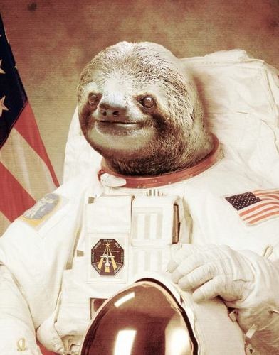 astronaut_sloth_by_astronautslothplz-d5n
