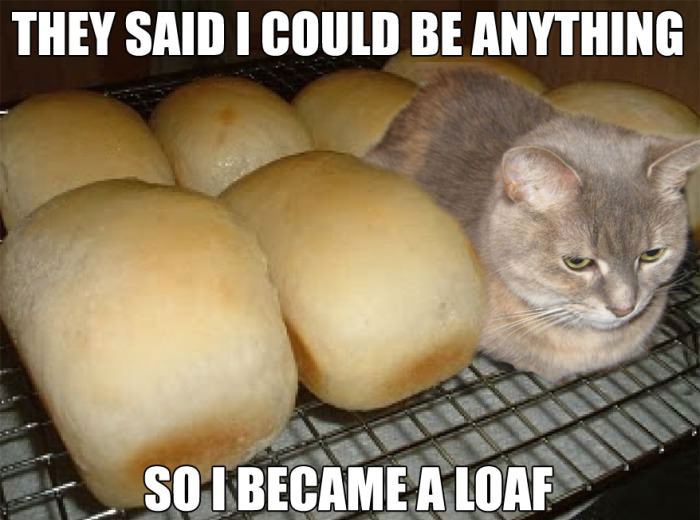 funny_cat_became_a_loaf_lolcat_pics_by_tkasabov2-d7n5b1h.jpg