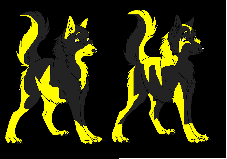 black and yellow adoptables by WolfAdoptionCenter on deviantART