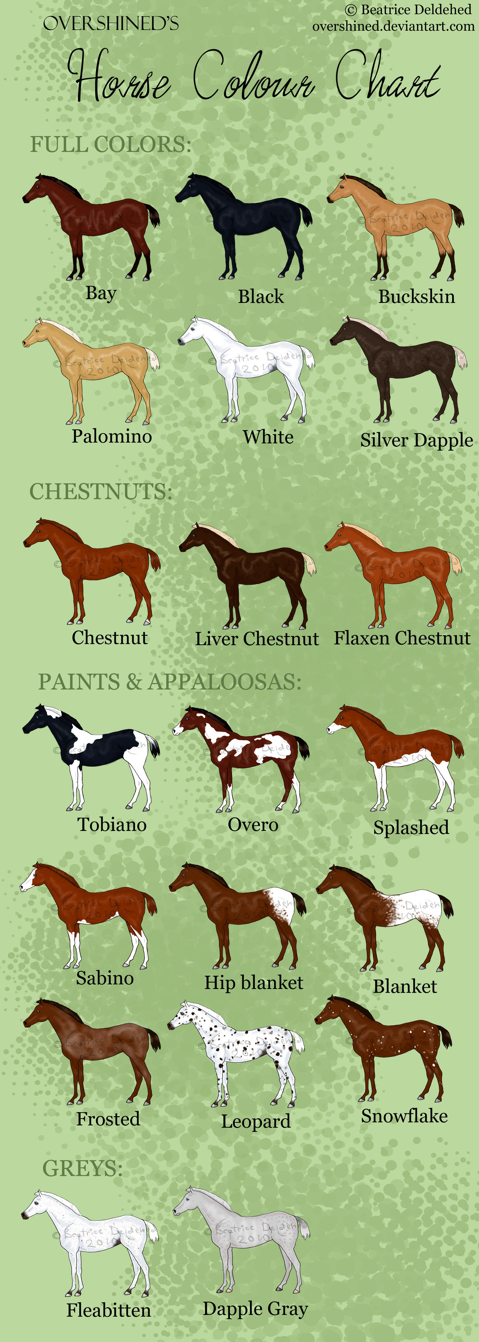 Horse Colour Chart by overshined on DeviantArt