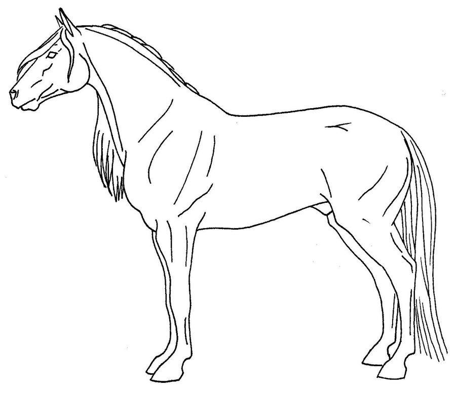 quarter horse coloring pages - photo #42
