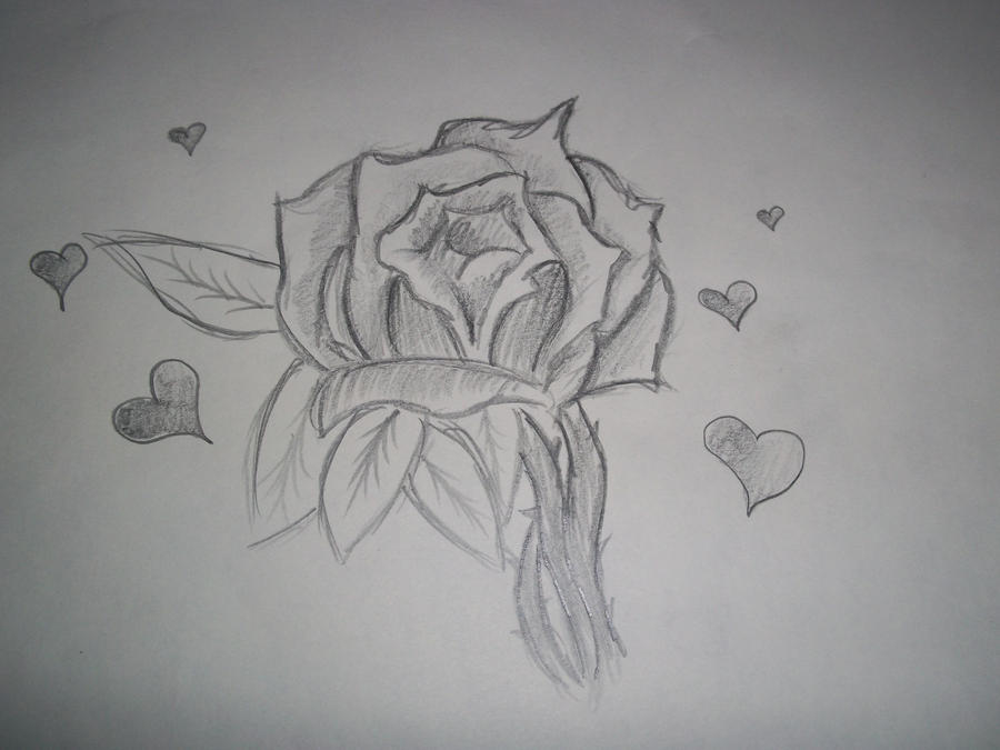 Rose Flower Design | Flower Tattoo