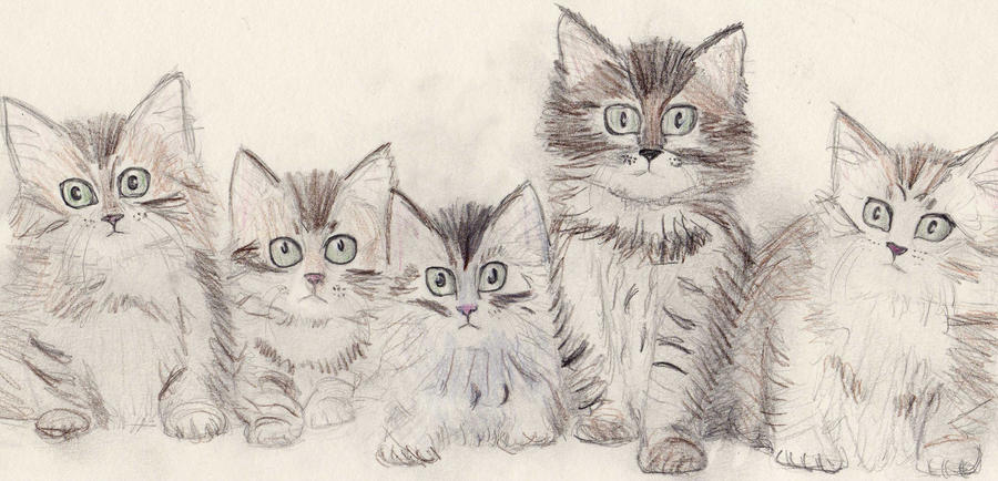 pictures of kittens to colour