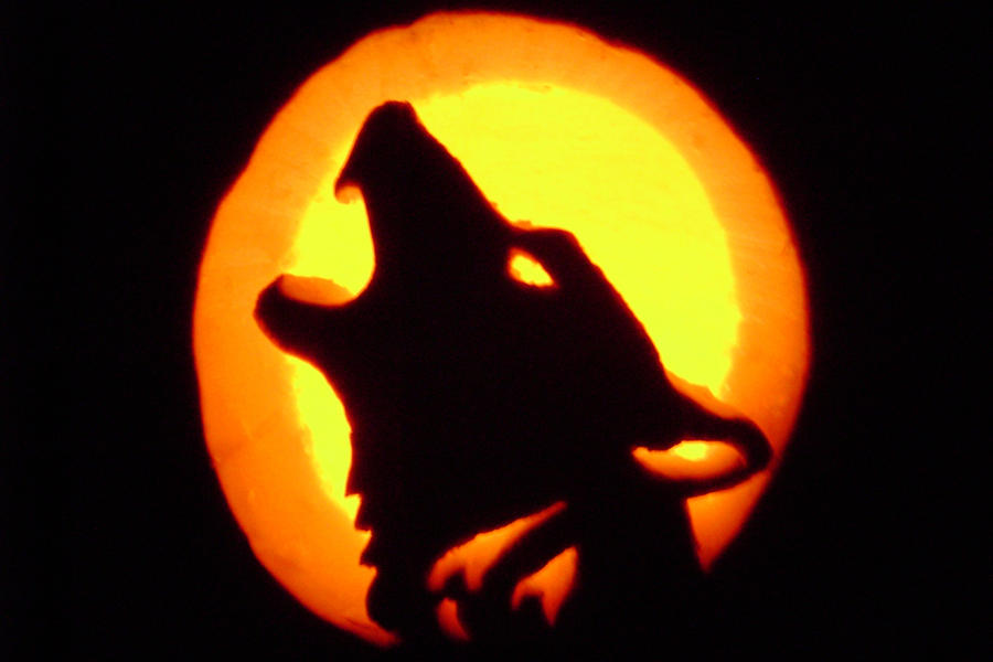 Wolf Pumpkin Carving by Stormsshadow on DeviantArt