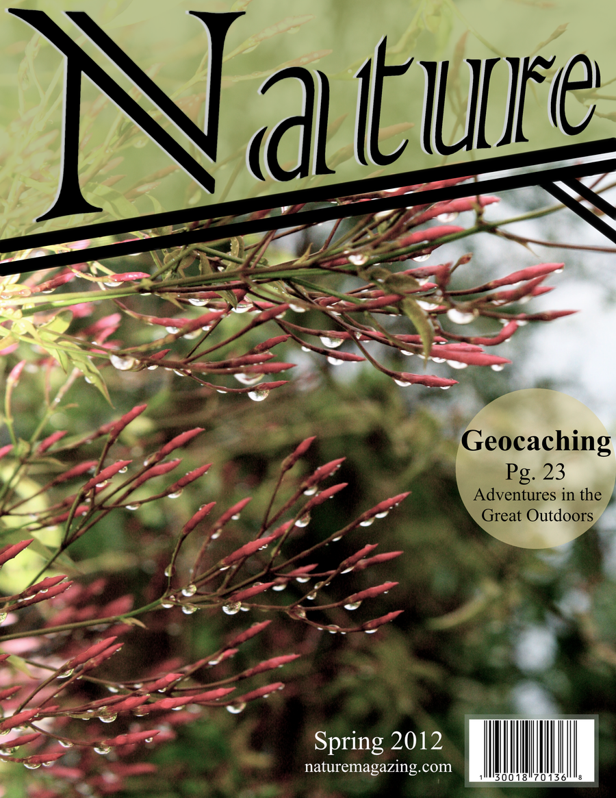 Download this Nature Magazine Scyiss picture