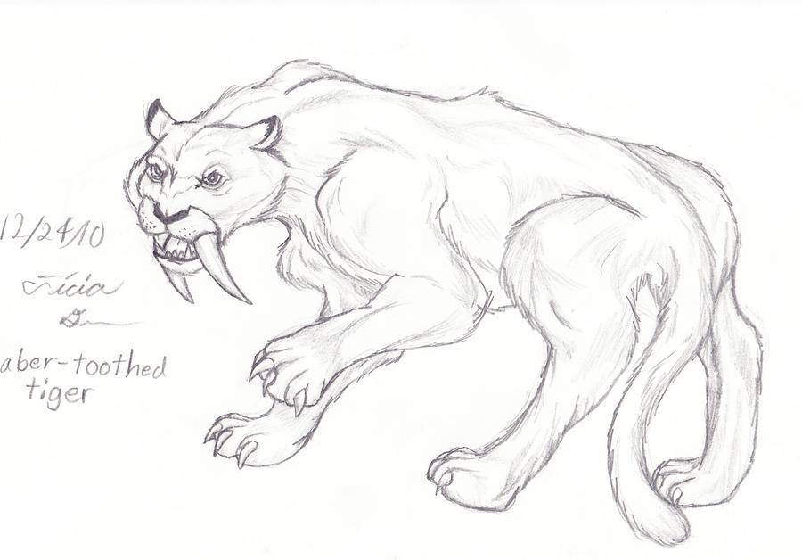 sabertooth cat coloring pages - photo #41
