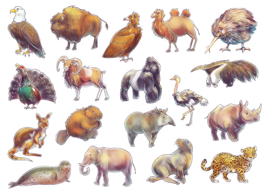Endangered Species of the Wold Game Animals by Fany001 
