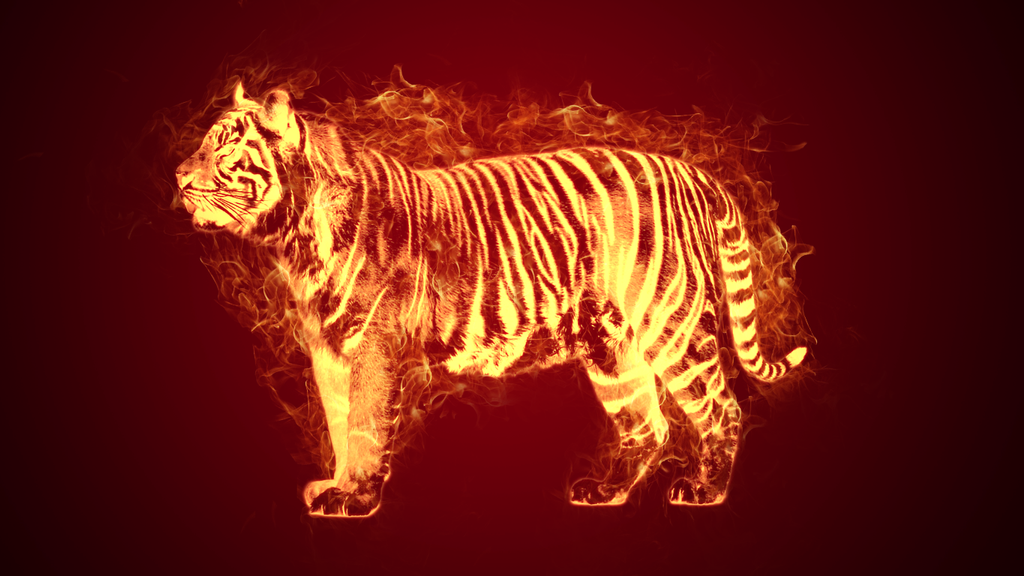 Tiger In Fire by EGBDesign on deviantART