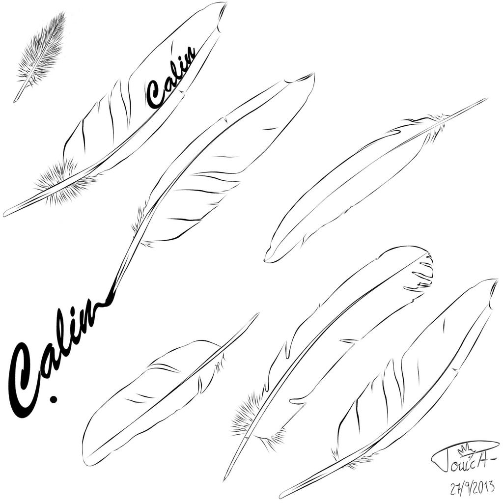 eagle feather coloring pages - photo #41