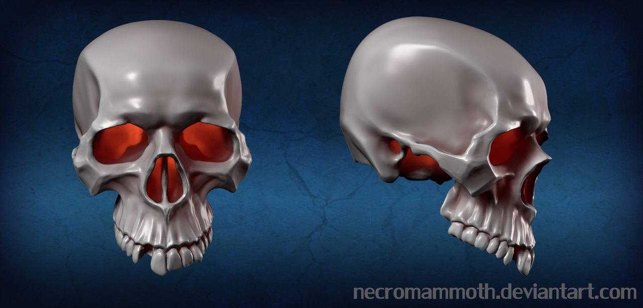 stylised_skull_by_necromammoth-d8gkcsh.png