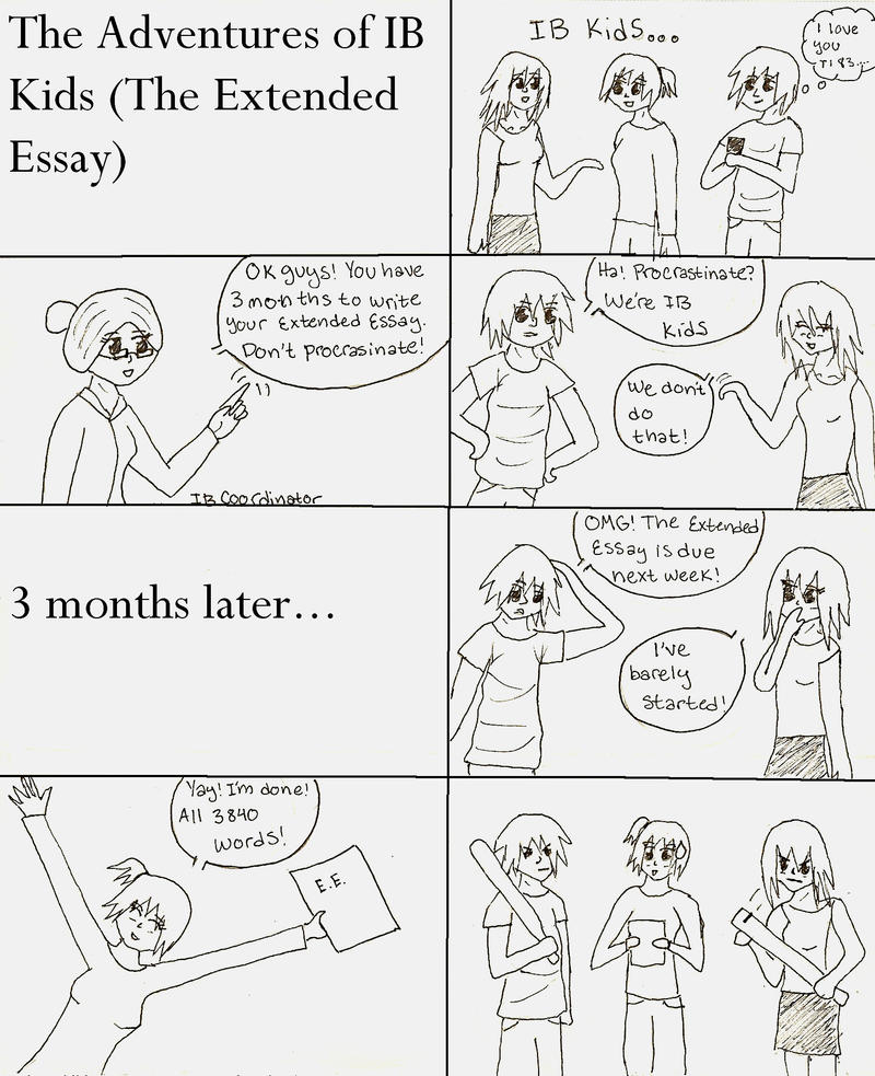 How to write an ib extended essay question