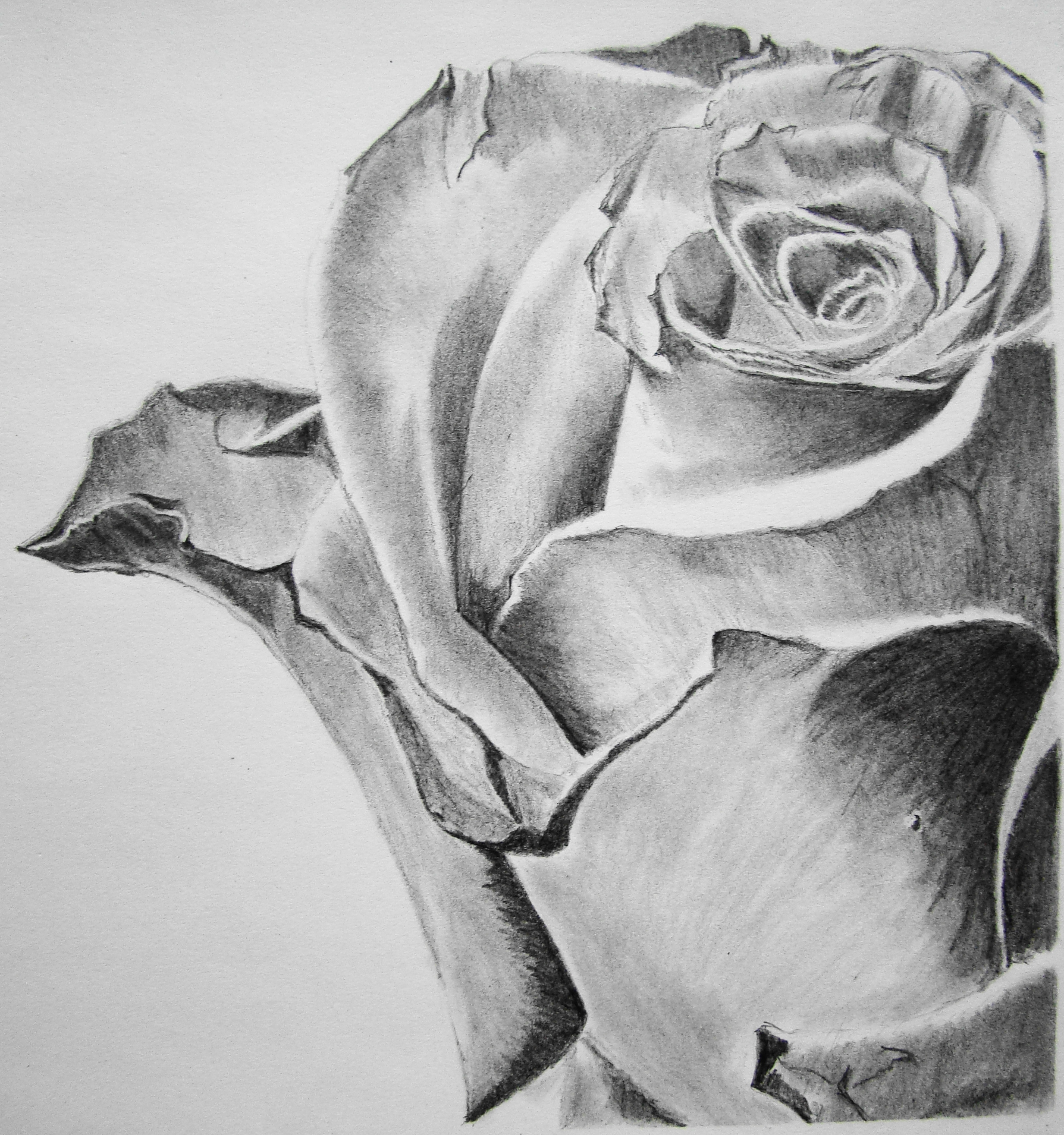 Pencil Drawings other on Pinterest Pencil Drawings