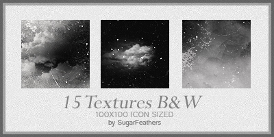 http://fc04.deviantart.net/fs37/i/2008/286/3/0/Black_and_White_icon_textures_by_SugarFeathers.png