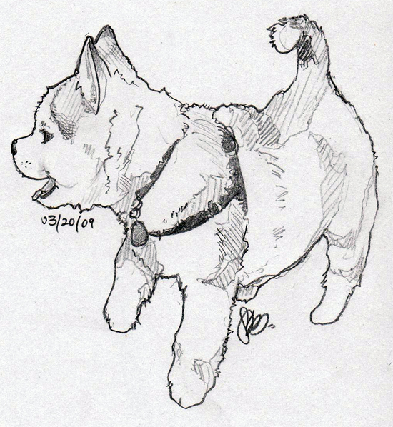 Siberian Husky Puppies Coloring Pages