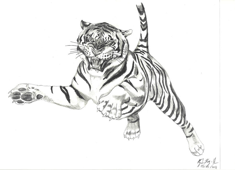 white tiger leaping by BlackPicasso1989 on DeviantArt
