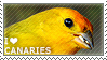 I love Canaries by WishmasterAlchemist
