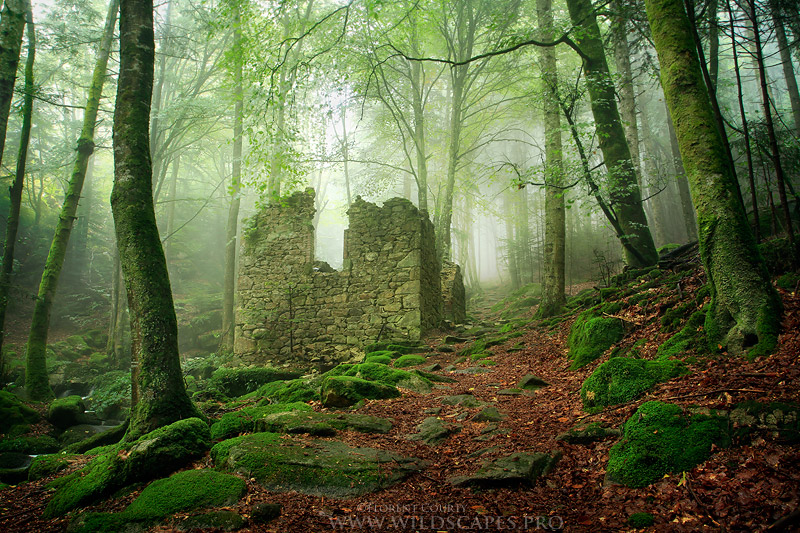 http://fc04.deviantart.net/fs71/f/2012/259/c/f/remains_from_the_past_by_florentcourty-d5evdxh.jpg