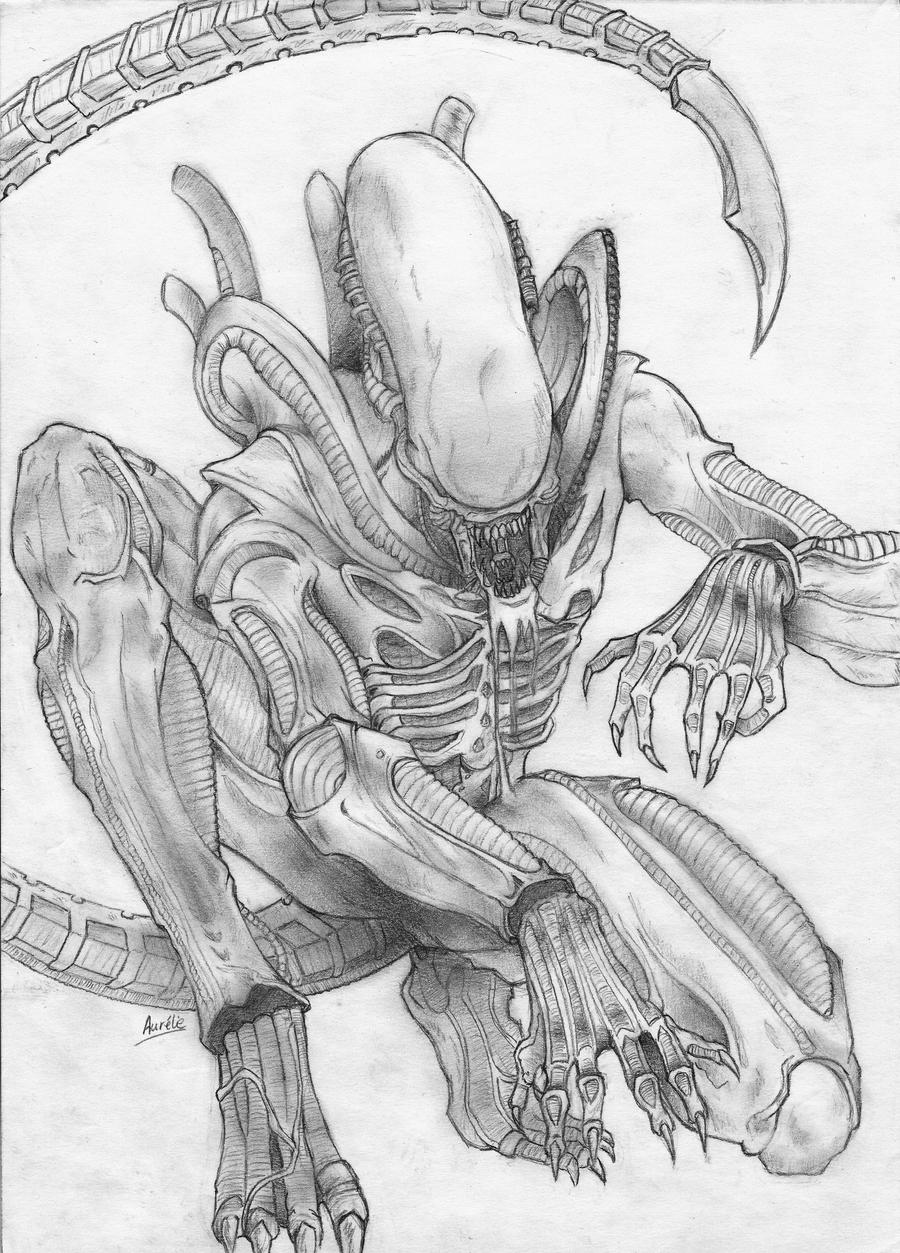 xenomorph drone coloring pages - photo #32